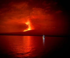 Erupción del Volcán La Cumbre, Isla Fernandina