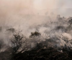 Se deteriora la calidad del aire en Bogotá por los incendios
