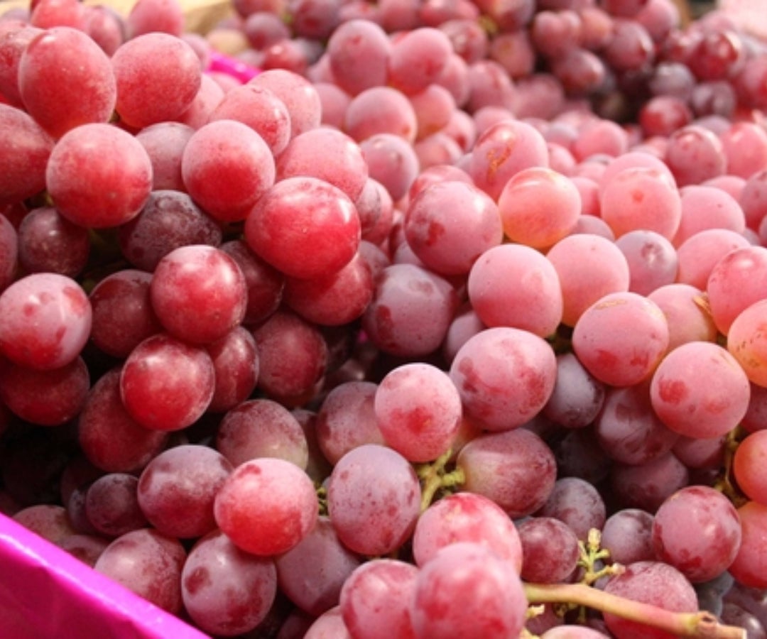 Uvas encabezan lista de frutas de exportación a Japón