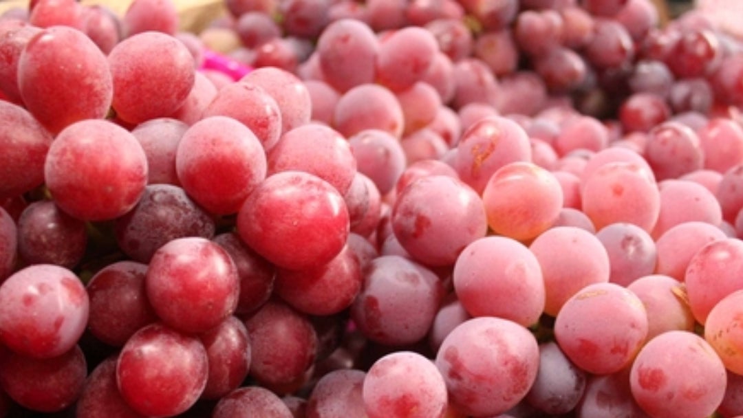 Uvas encabezan lista de frutas de exportación a Japón desde Perú