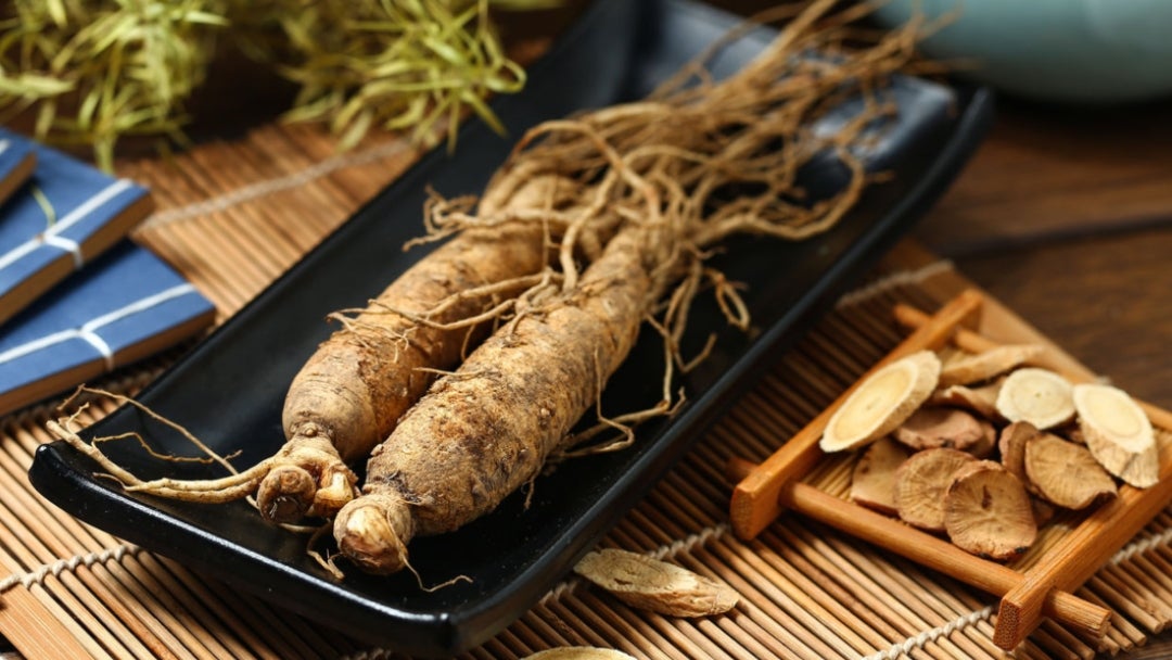 planta-ginseng AN