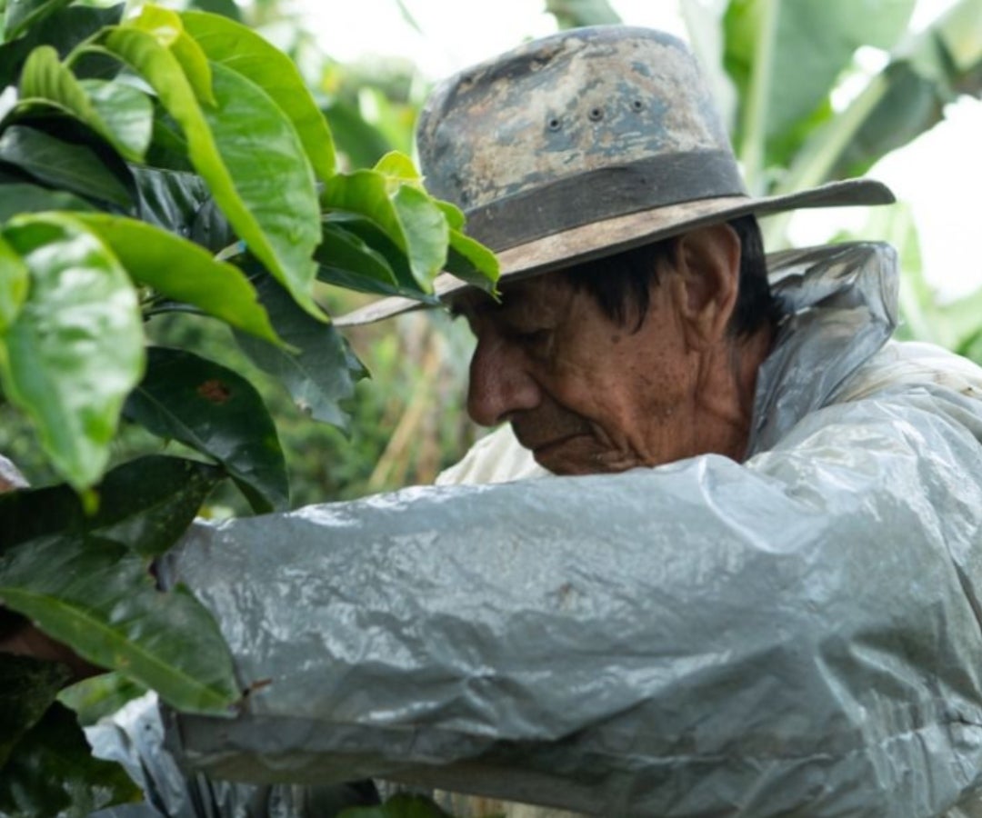 Apoyo a productores agropecuarios LR