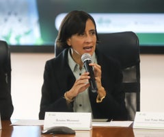 Susana Muhamad, ministra de Ambiente Susana Muhamad, ministra de Ambiente