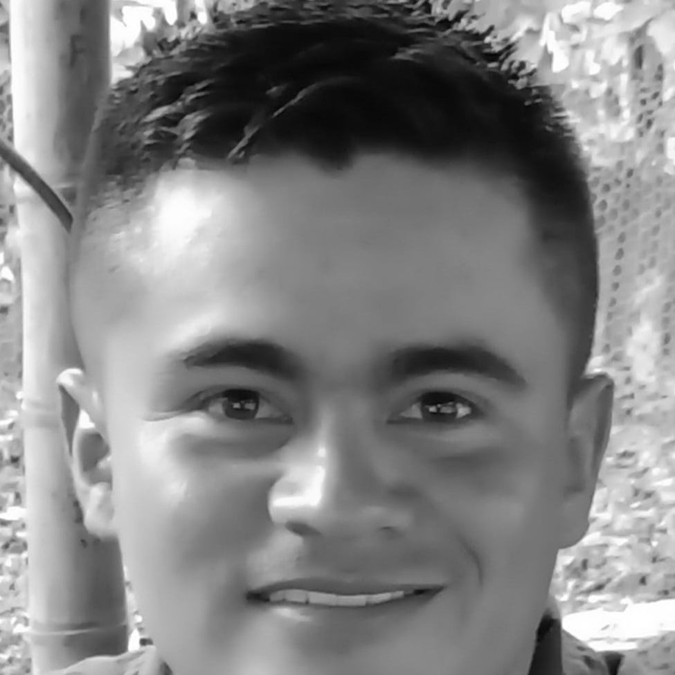 Camilo Barrios - Gallinas