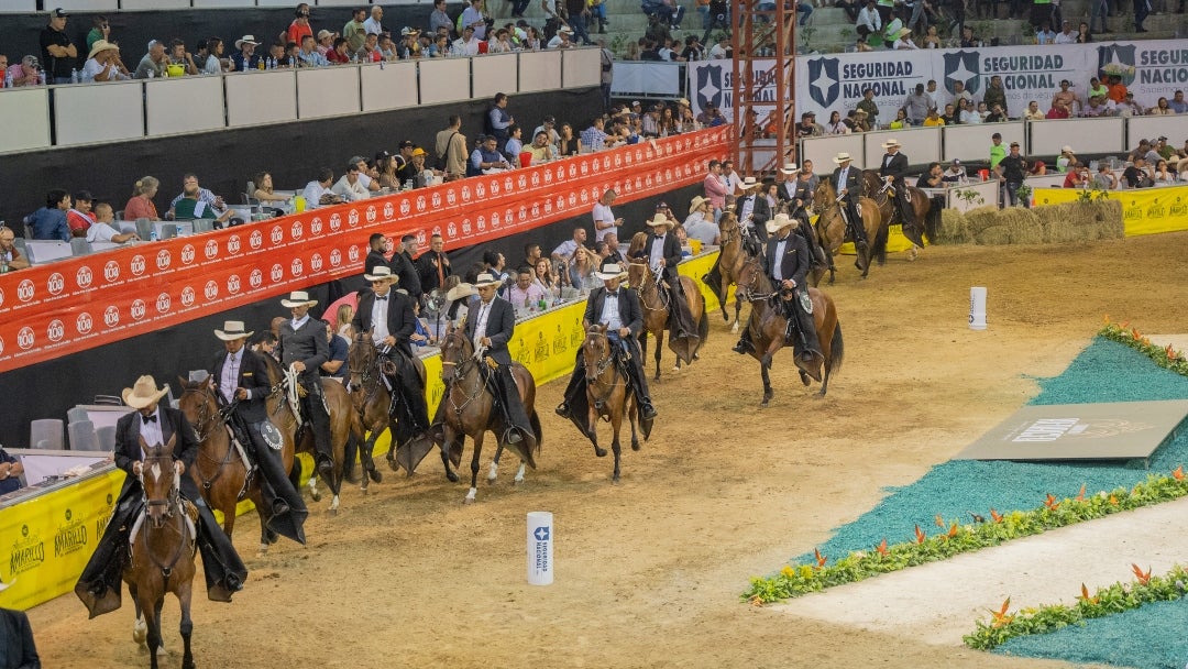 Caballo criollo colombiano