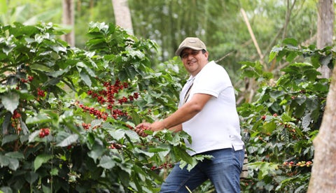 Los 40.000 árboles de café de la finca Casa Portones en San Bernardo, Cundinamarca