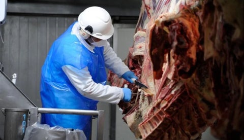 Uruguay fue habilitado para poder exportar los estómagos bovinos hacia China