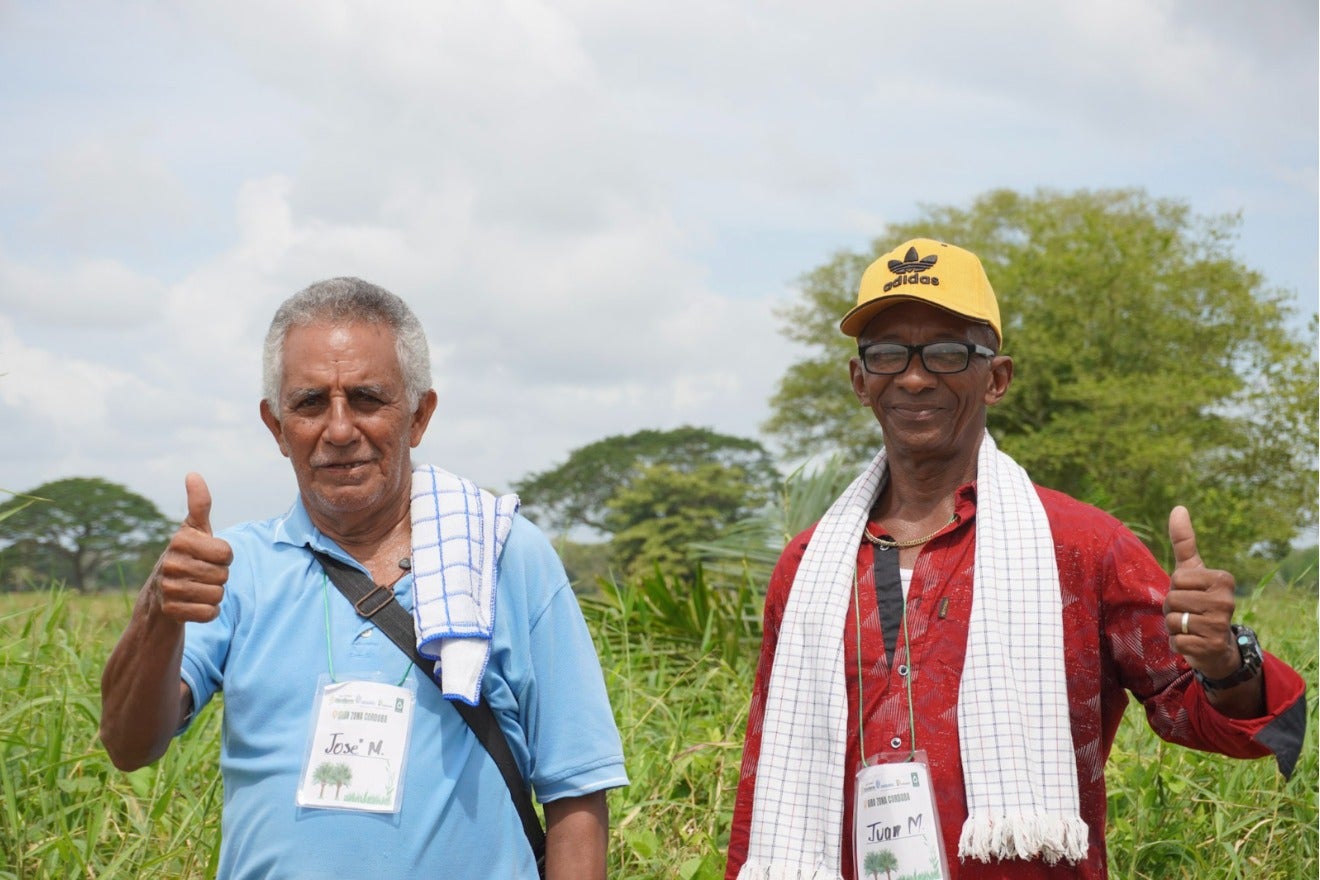 Grupo Oleoflores / Contenido patrocinado