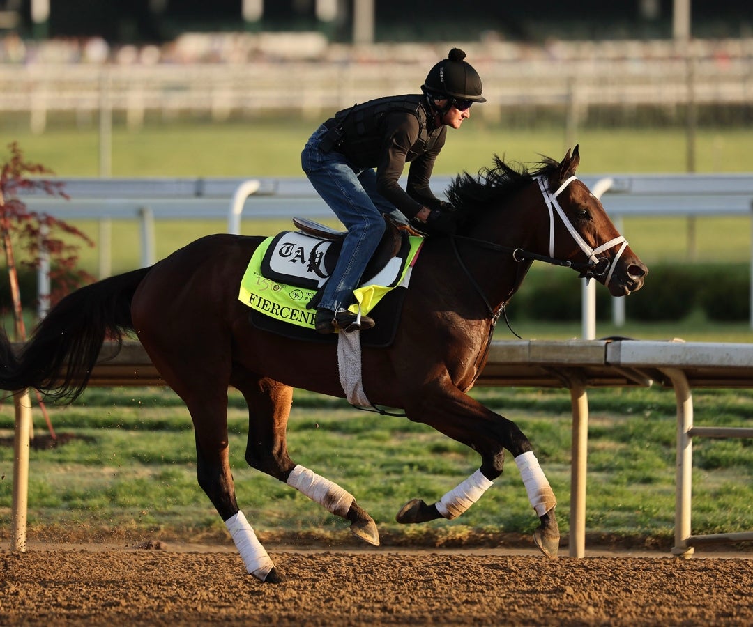 Caballo Sierra Leona, del Derby de Kentucky