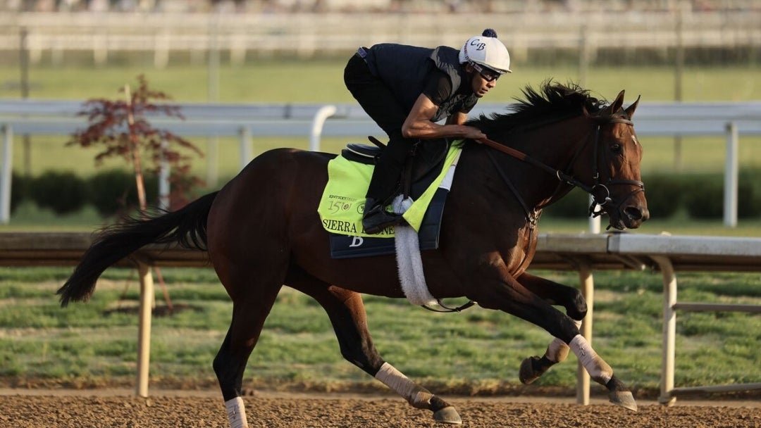 Caballo Sierra Leona, del Derby de Kentucky