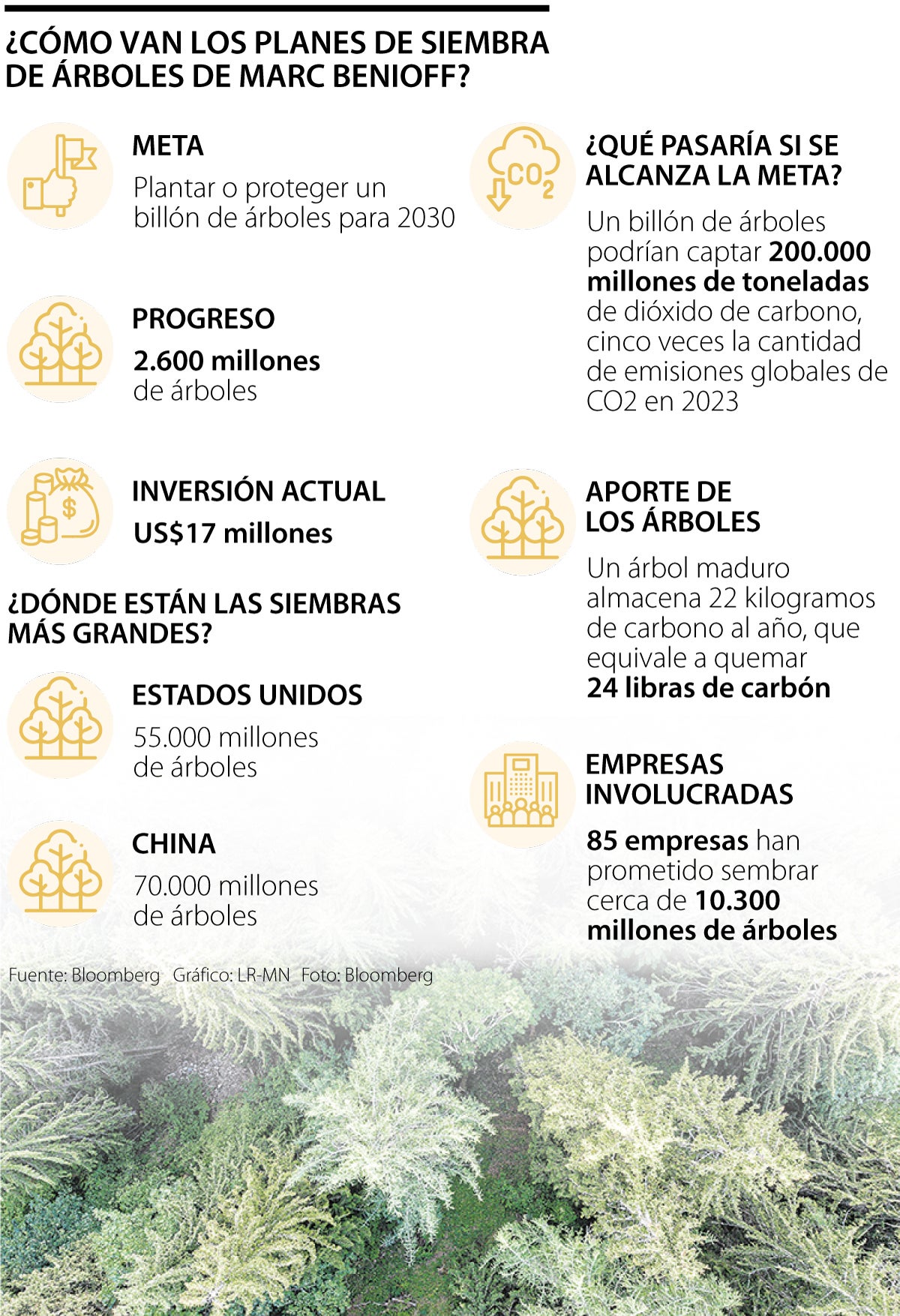 El plan de Benioff no marcha según lo planeado