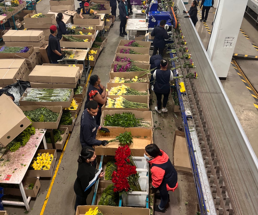 Asocolflores espera que las ventas por el Día de la Madre representen 15% del total