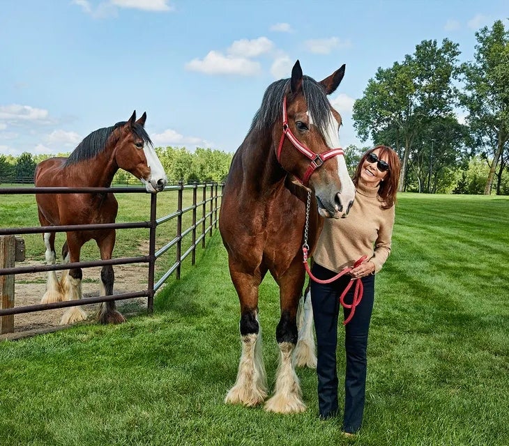 Diane Hendricks