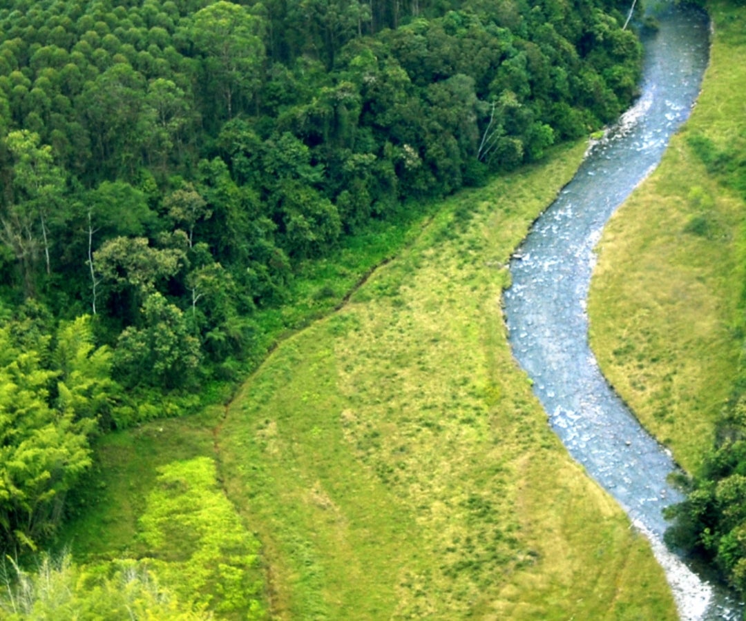 Smurfit Kappa II Fedemaderas LR