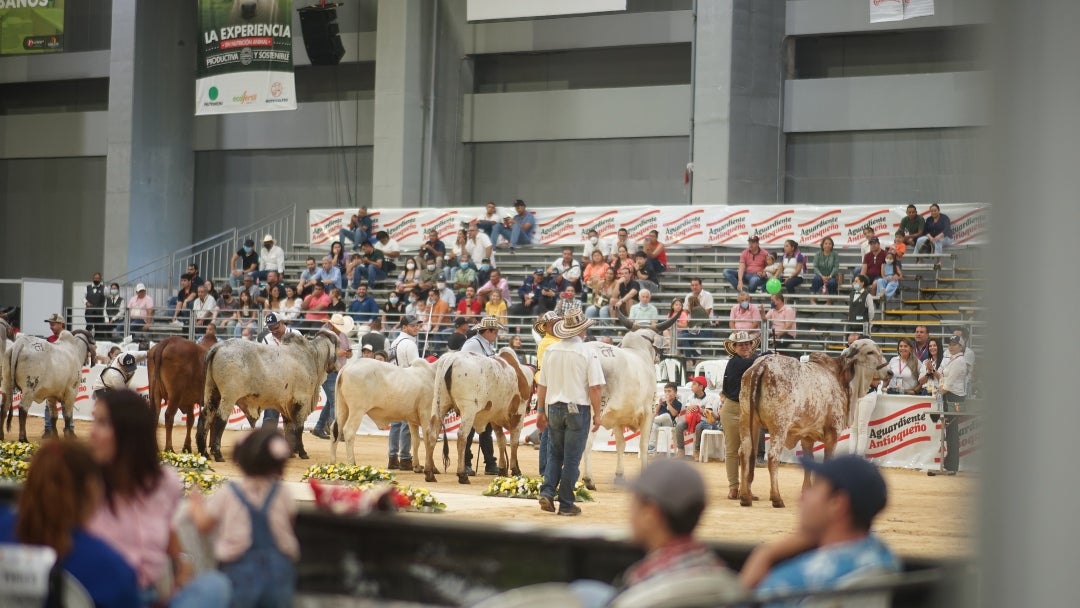 Agroexpo Caribe (3) AN