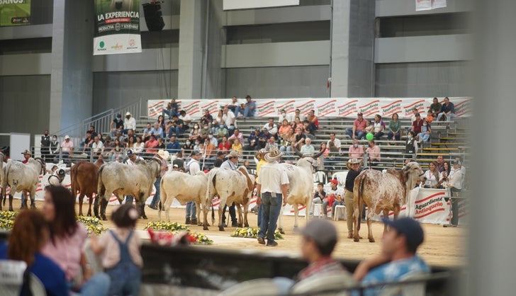 Agroexpo Caribe (3) AN