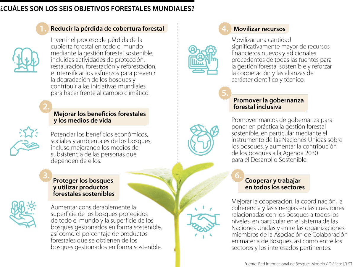 Objetivos forestales