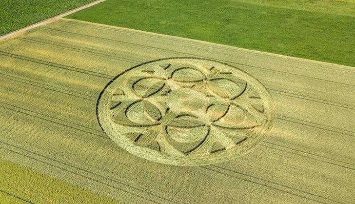 El misterio de los círculos de cosecha, ¿Alienígenas o bromistas?  Explorando teorías | Agronegocios.co