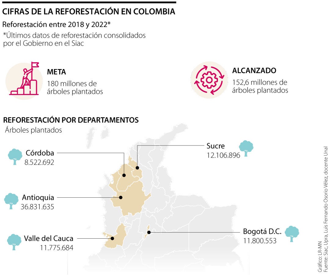 Cómo va la reforestación en Colombia