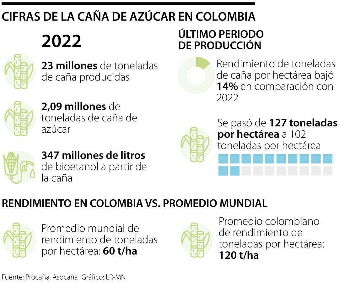 Cifras de la producción de caña en Colombia