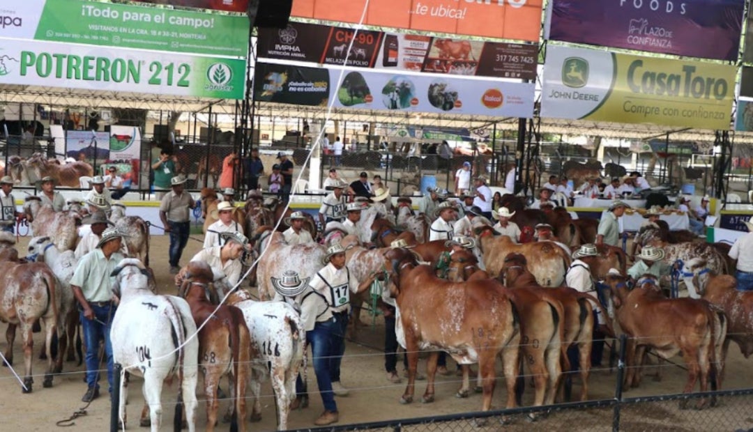 La feria ganadera de Montería 2024 llega a su edición 62 con fiesta