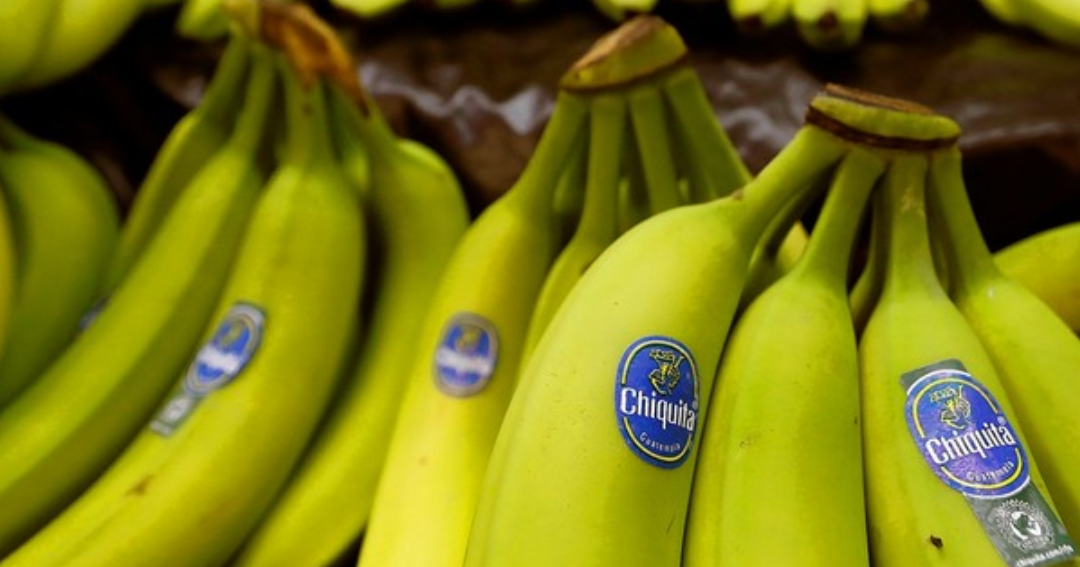Panamá autorizó al Ministerio de Comercio e Industria para reanudar labores de Chiquita
