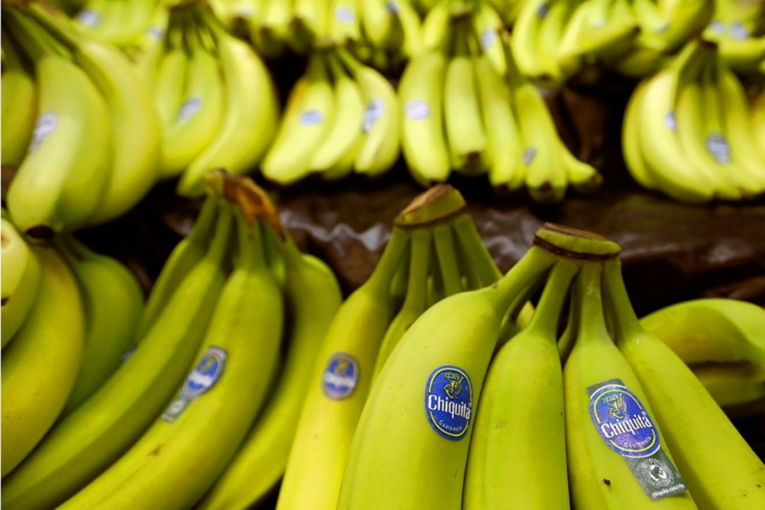 Chiquita Brands es investigada por financiar el paramilitarismo
