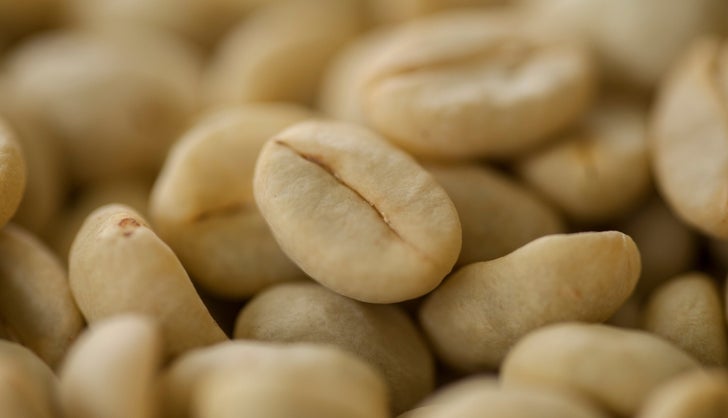 Granos de café lavado