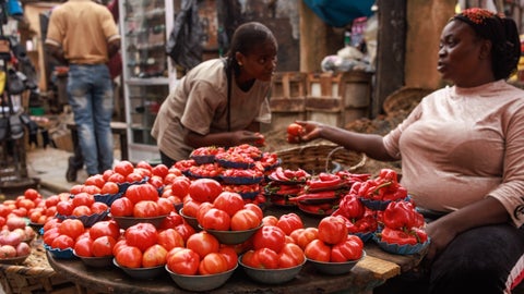 Posibilidad que Nigeria se quede sin tomates plantea nuevos riesgos para la inflación