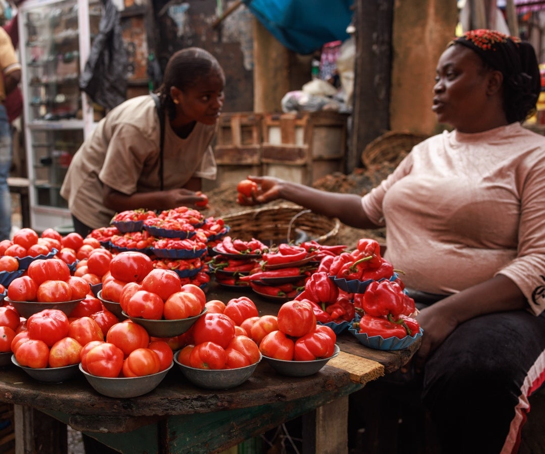 Posibilidad que Nigeria se quede sin tomates plantea nuevos riesgos para la inflación