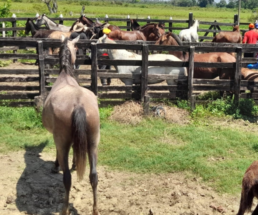 MinAgricultura inundaciones LR