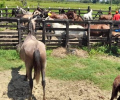 MinAgricultura inundaciones LR MinAgricultura inundaciones LR