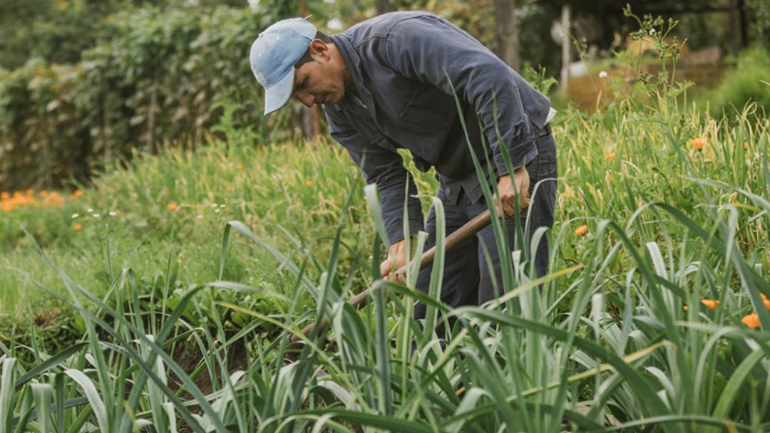 Vista general de un trabajador en el campo