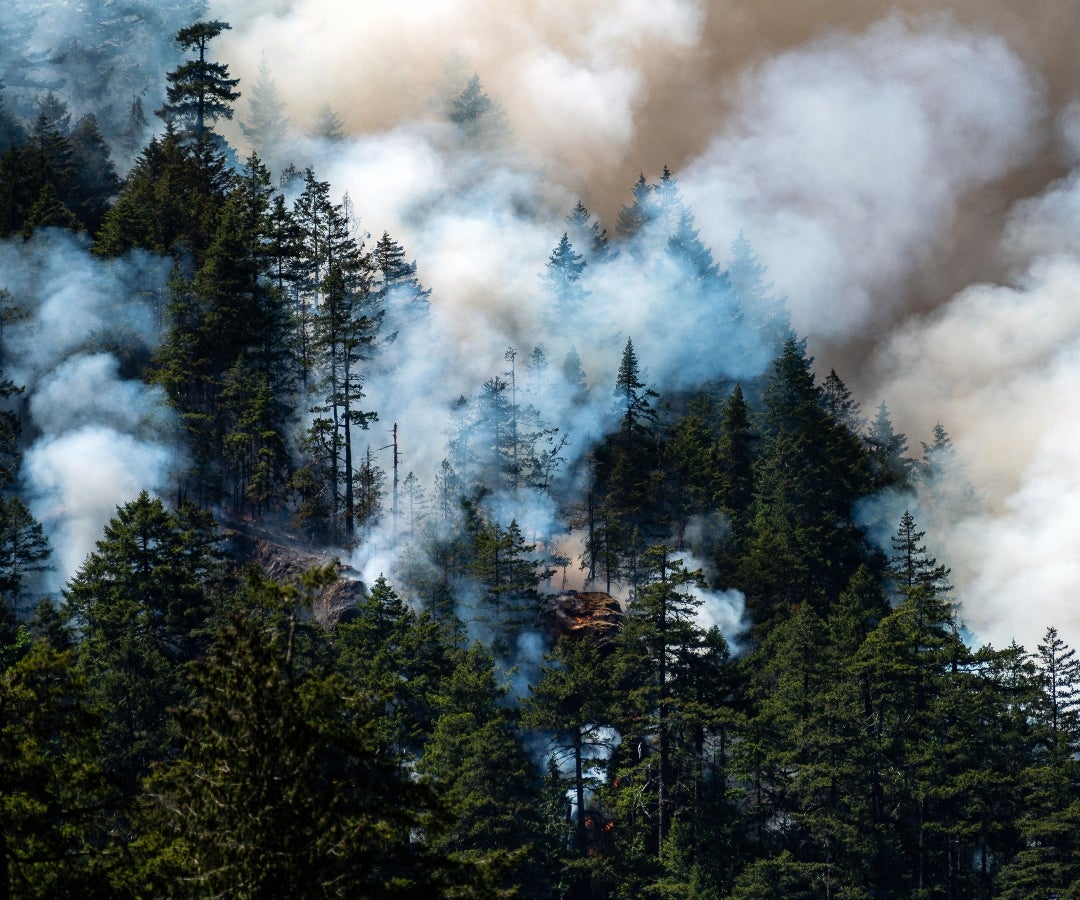 Incendio forestal en Canadá
