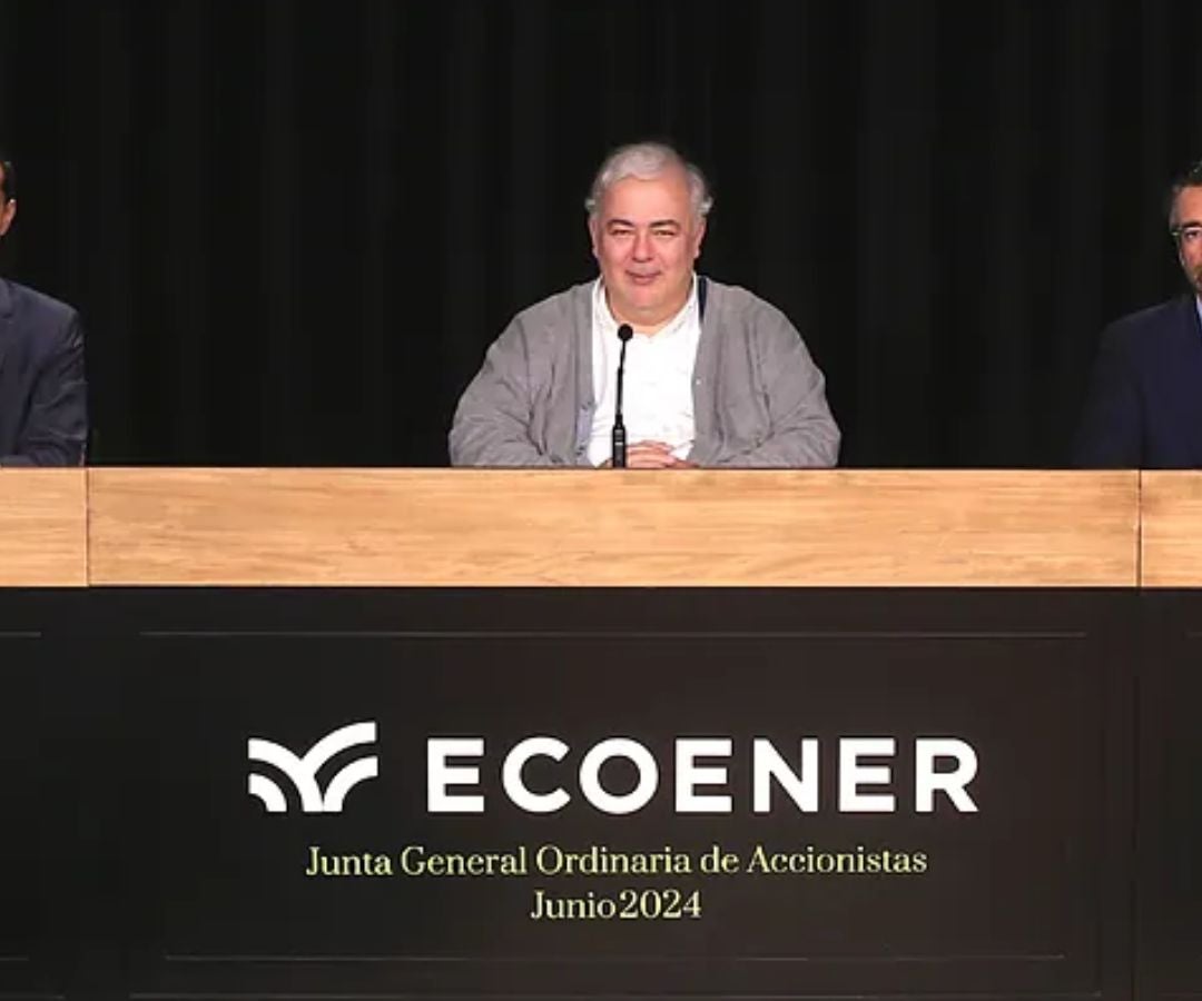 Presidente de Ecoener, Luis de Valdivia