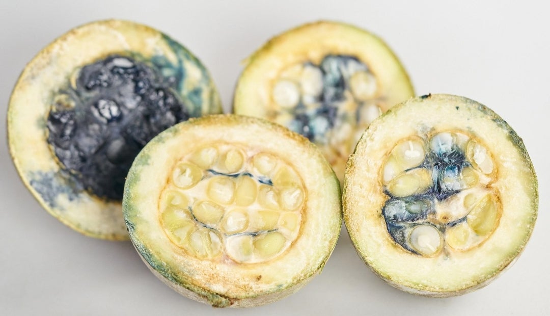 Colorante azul de Ecoflora Cares, el primer azul natural aprobado por ...