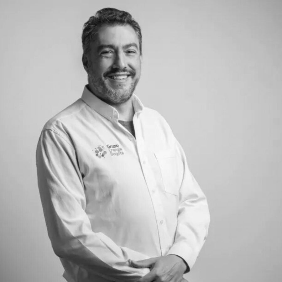 presidente del Grupo Energía Bogotá, Juan Ricardo Ortega