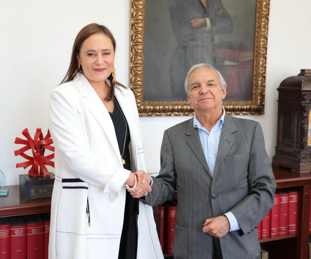 Viceministra Técnica, Juanita Villaveces, y Ministro de Hacienda, Ricardo Bonilla