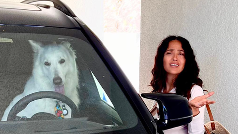 Salma Hayek con uno de sus perros