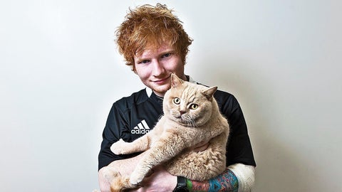 El cantante Ed Sheeran con uno de sus gatos