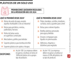 Las restricciones de los plásticos de un solo uso Las restricciones de los plásticos de un solo uso