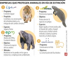 Empresas que cuidan a los animales Empresas que cuidan a los animales