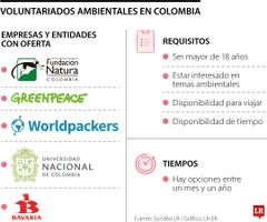 Voluntariados ambientales de empresas Voluntariados ambientales de empresas