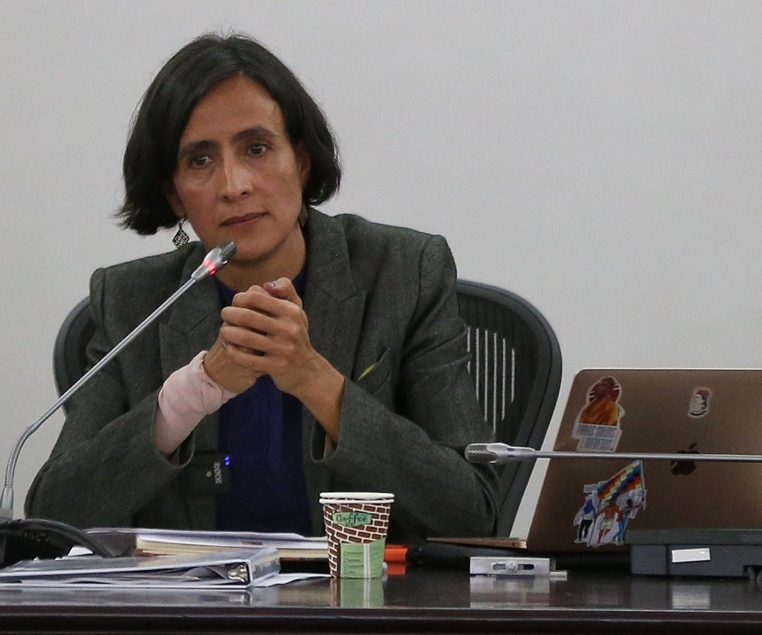 Susana Muhamad, Ministra de ambiente