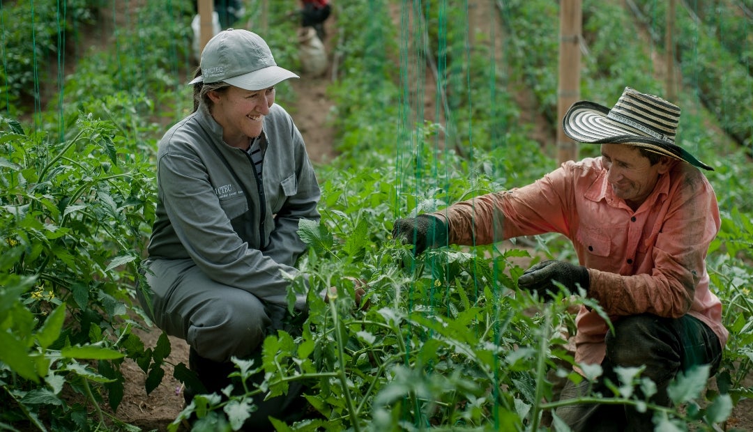 La brecha de las tasas de interés entre hombres y mujeres en el campo llegaría a 4%