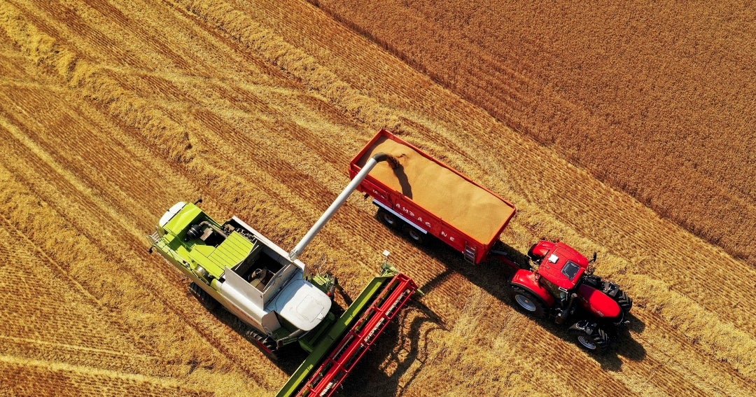 Francia se prepara para la peor cosecha de trigo blando desde 1983 ...