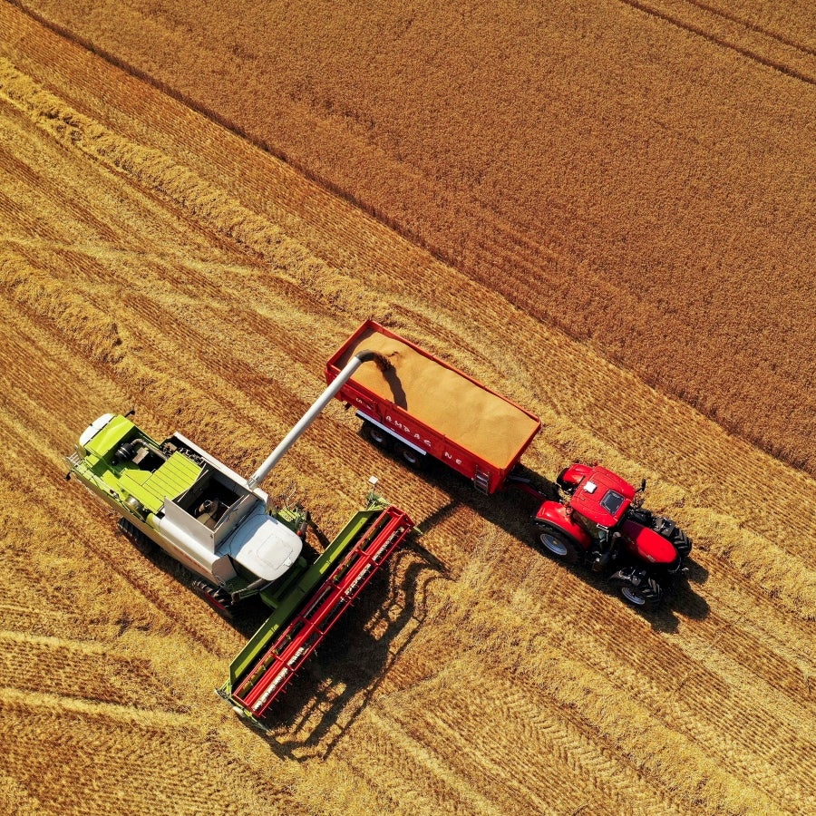 Aranceles de Trump ponen en riesgo el precio de los granos que se