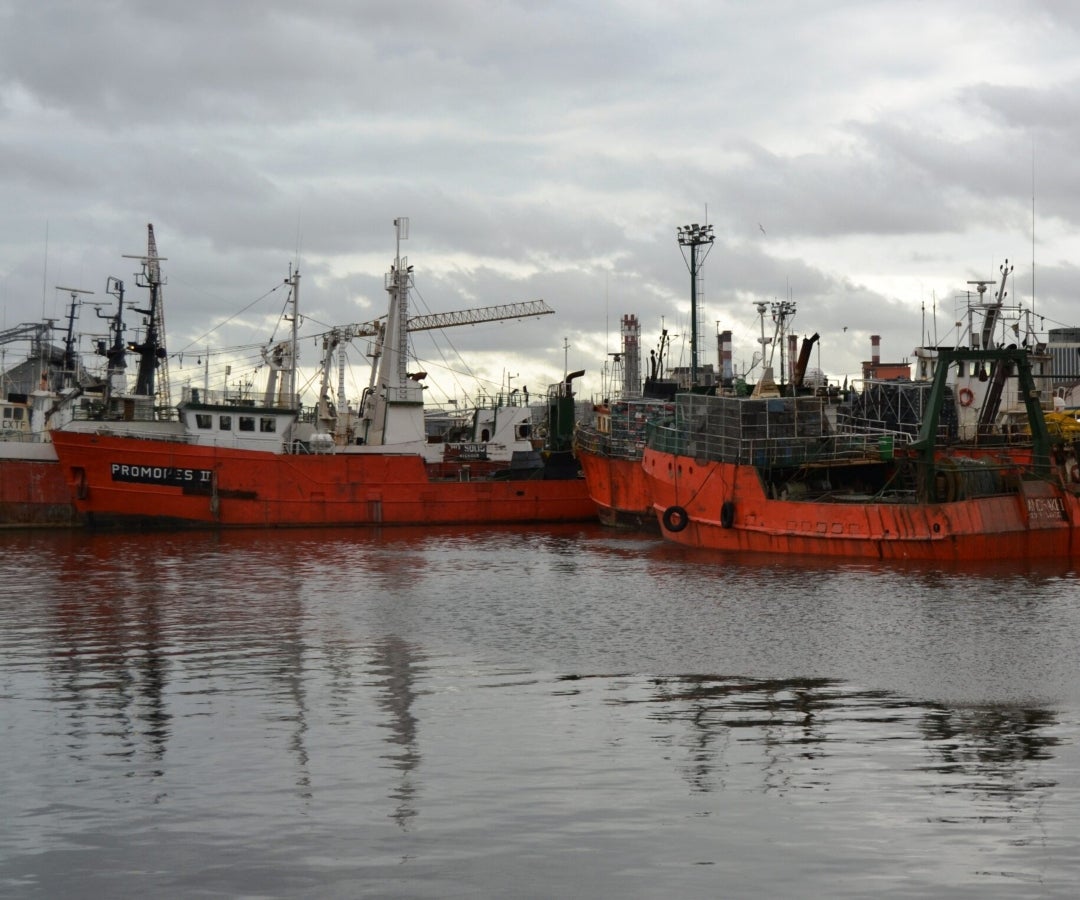 Cámara de Industrias Pesqueras del Uruguay (CIPU)