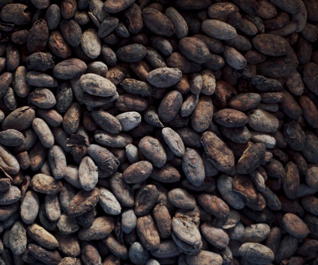 Granos de cacao