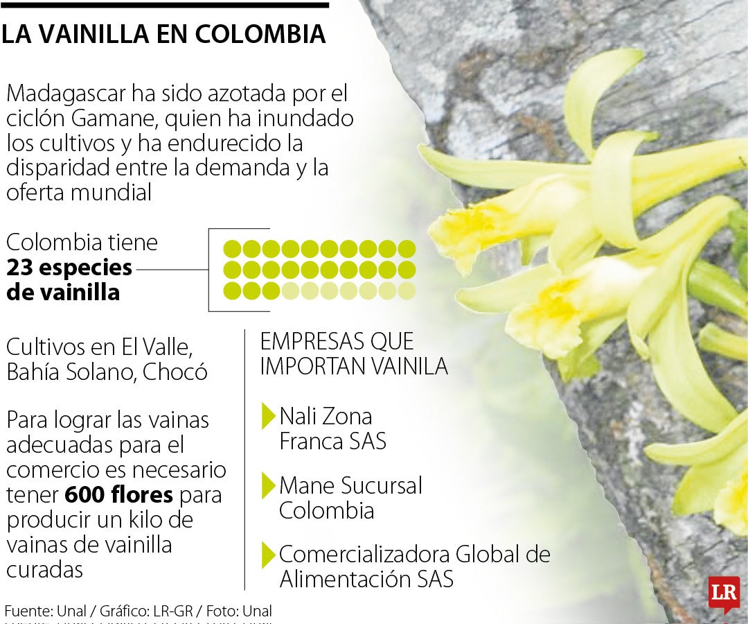 Cultivos de vainilla en Colombia
